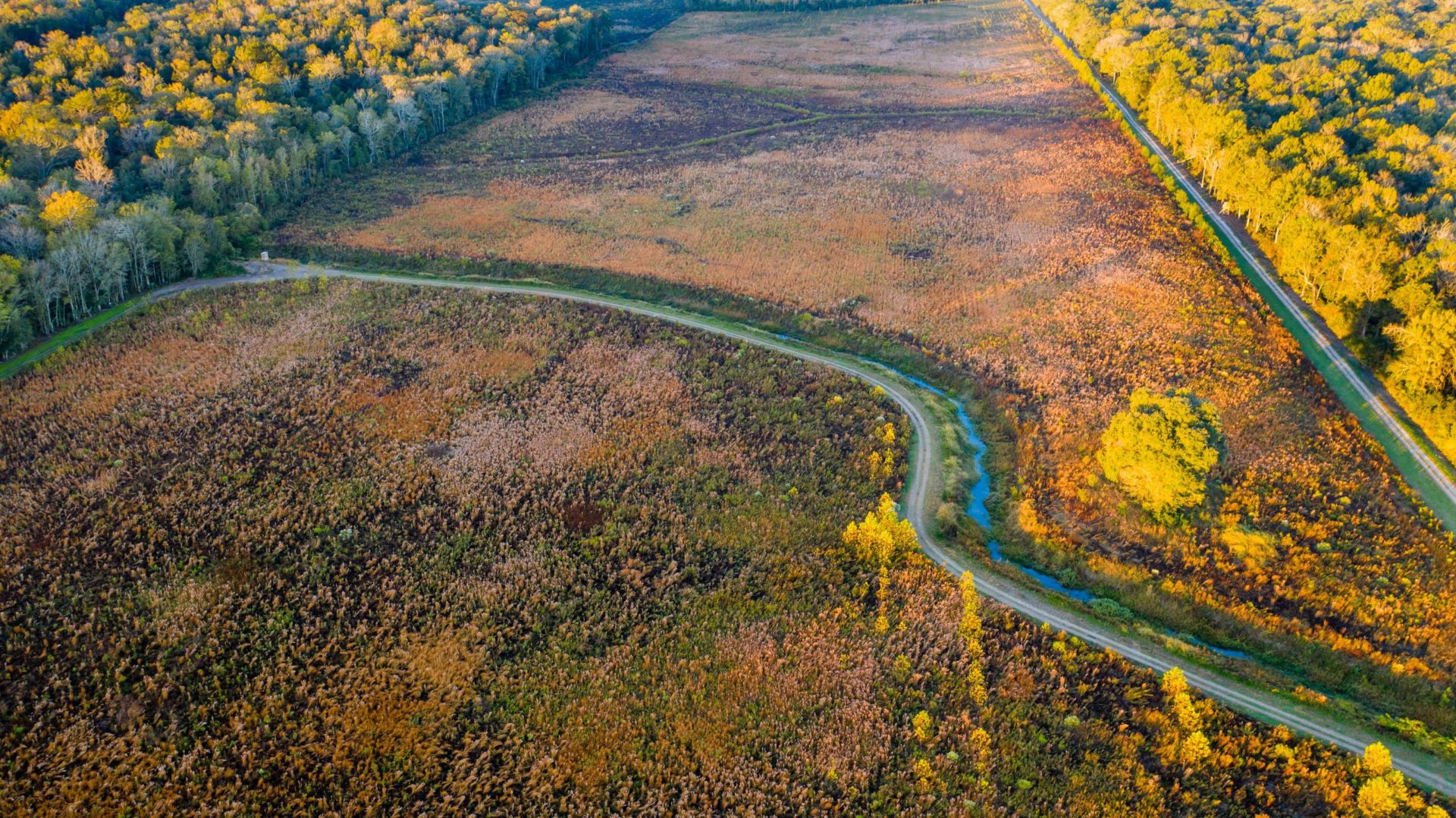 Louisiana: Bayou Maringouin Mitigation Bank - Ecosystem Investment Partners