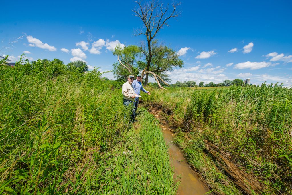 Maryland Chesapeake Water Quality Pay for Performance Ecosystem