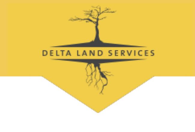 DLS Delta Land Services