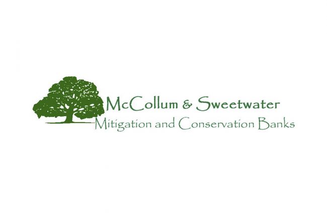 MCS McCollum Sweetwater