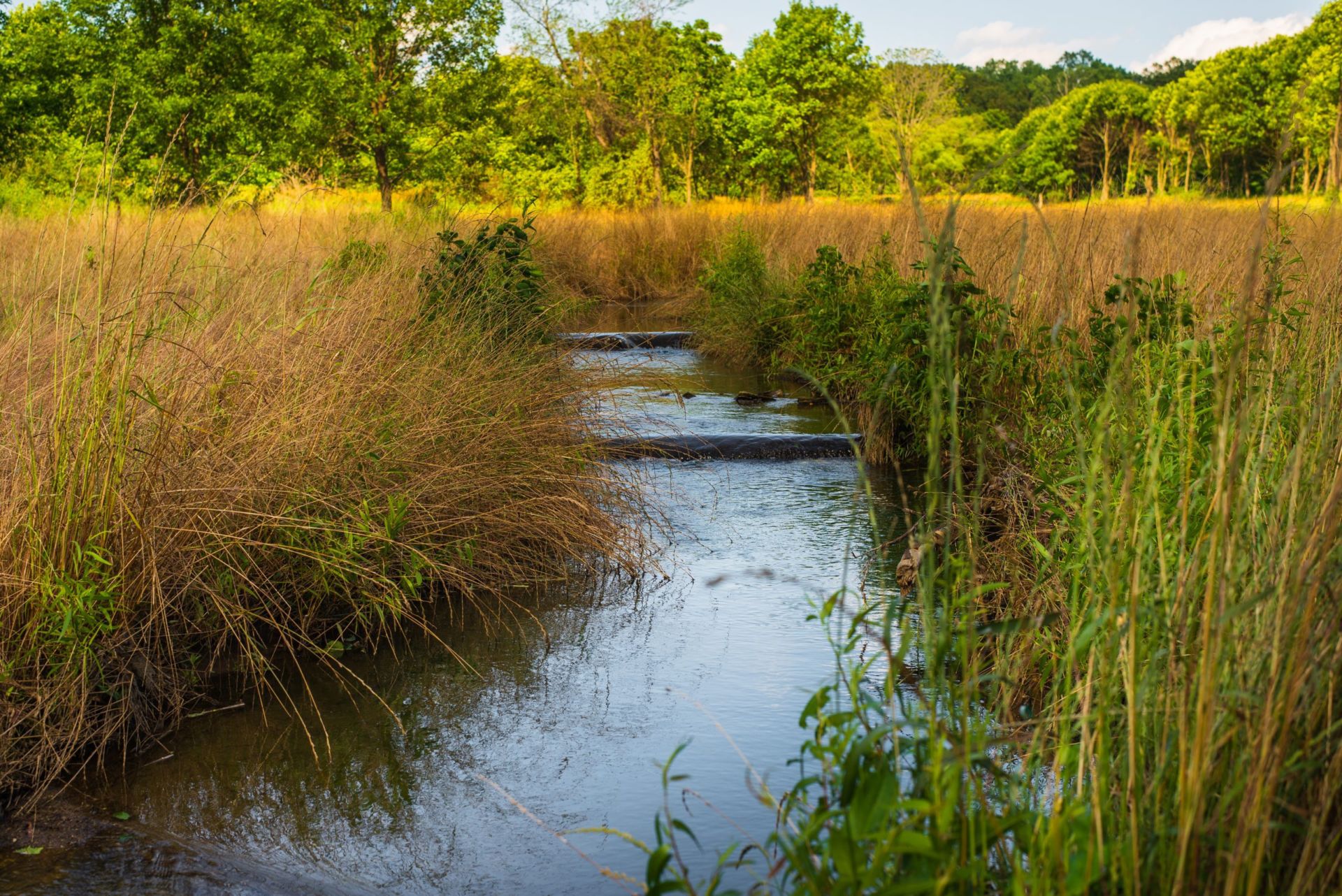 Chesapeake Bay Ecosystem Investment Partners